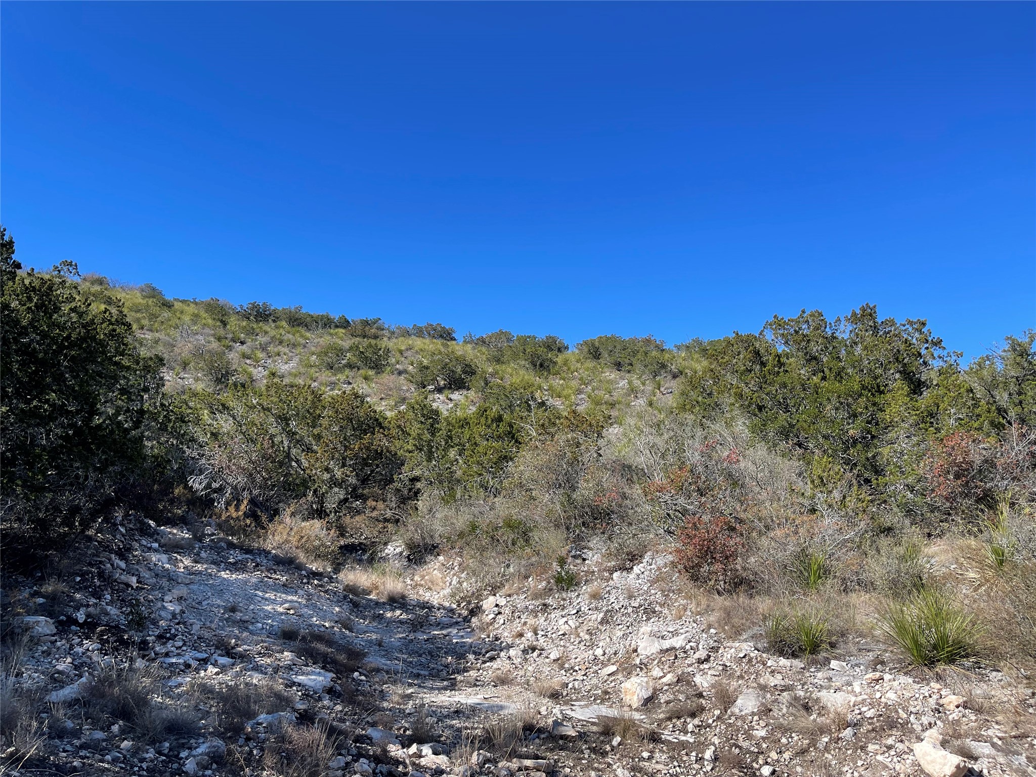 305 Walnut Springs Ranch Road Uvalde, TX 78801 - Photo 10 of 21 a view of a large mountain with mountains in the background