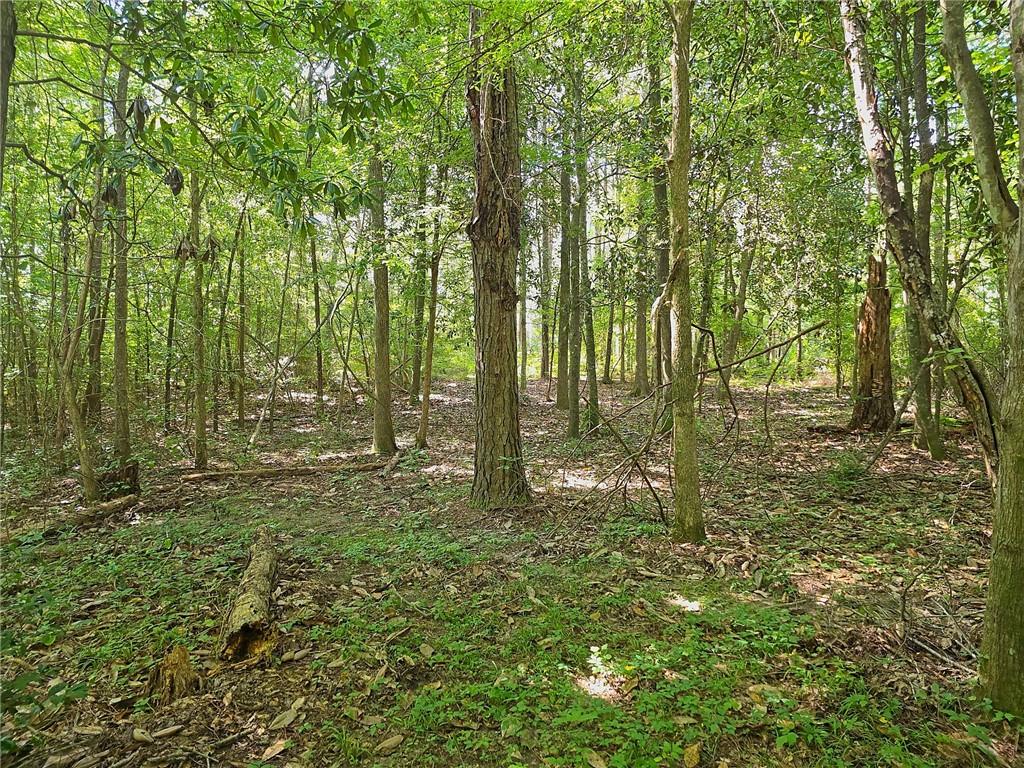 10993 Highway 28 Boyce, LA 71409 - Photo 34 of 56