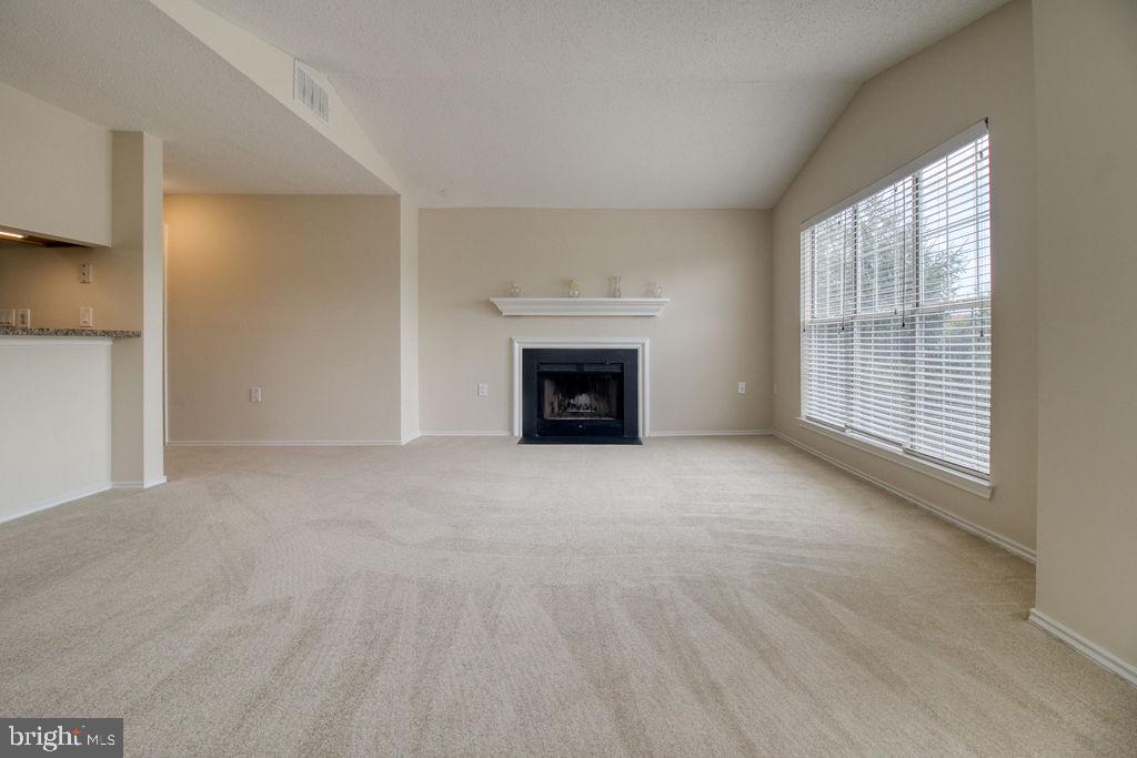 21024 Timber Ridge Terrace, Unit 303 Ashburn, VA 20147 - Photo 18 of 42 Wood Burning Fireplace In Living Room