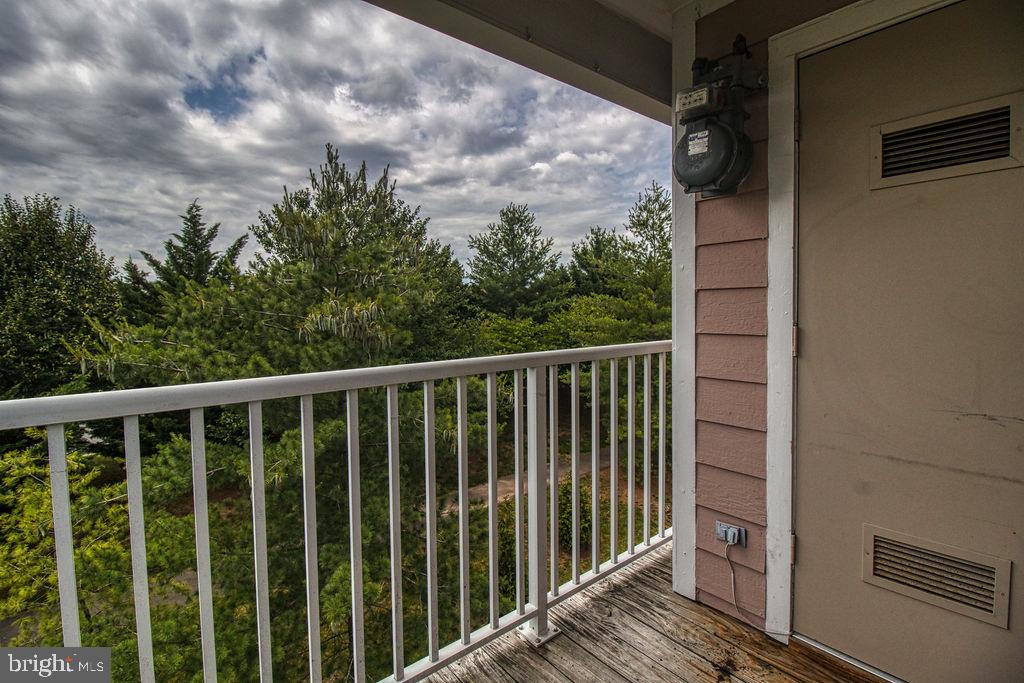 21024 Timber Ridge Terrace, Unit 303 Ashburn, VA 20147 - Photo 21 of 42 Balcony Tree View And Utility Closet