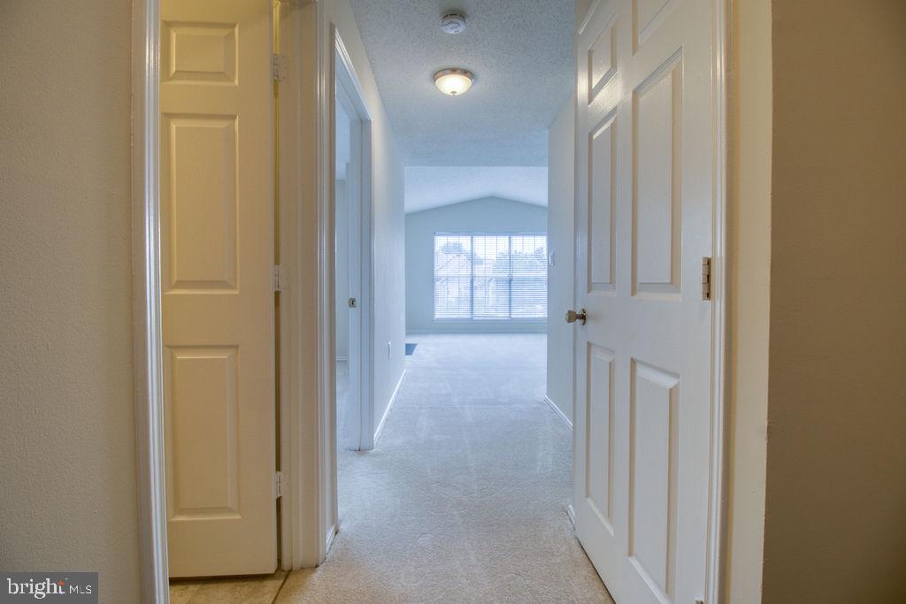 21024 Timber Ridge Terrace, Unit 303 Ashburn, VA 20147 - Photo 6 of 42 Entry Hallway Looks Into Bright Sunny Condo