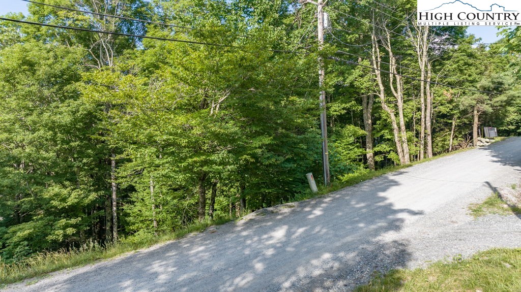 907 Charter Hills Road Beech Mountain, NC 28604 - Photo 11 of 17 a view of a garden with plants