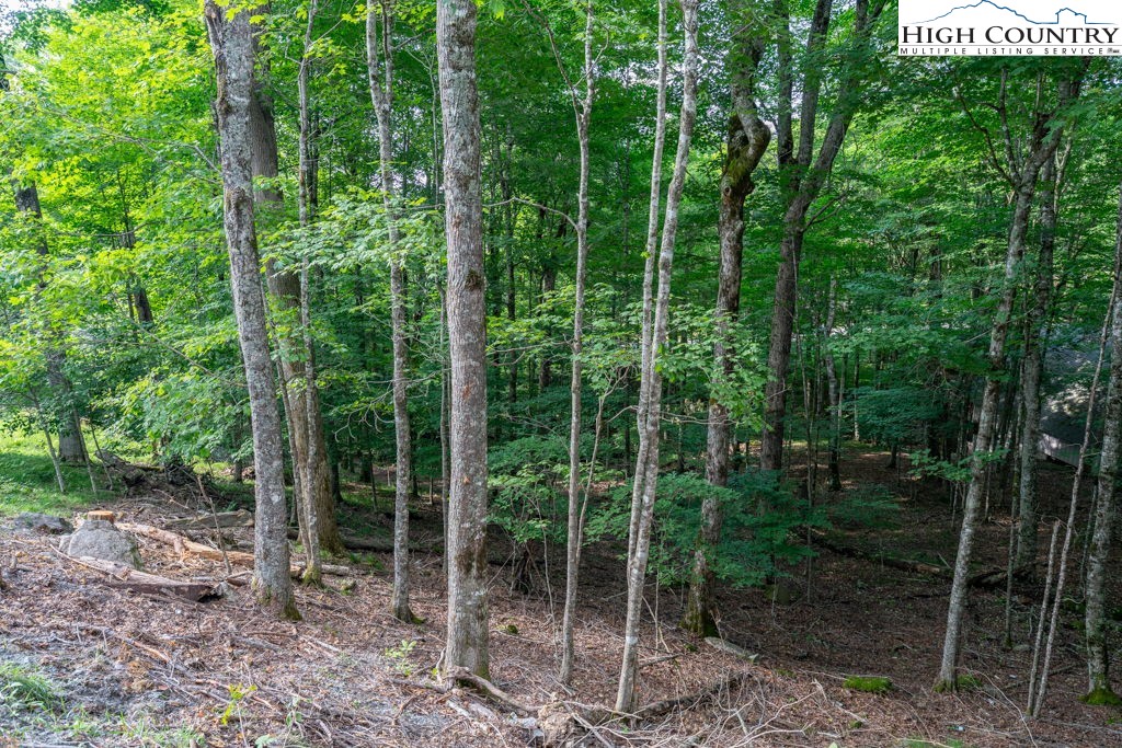 907 Charter Hills Road Beech Mountain, NC 28604 - Photo 12 of 17
