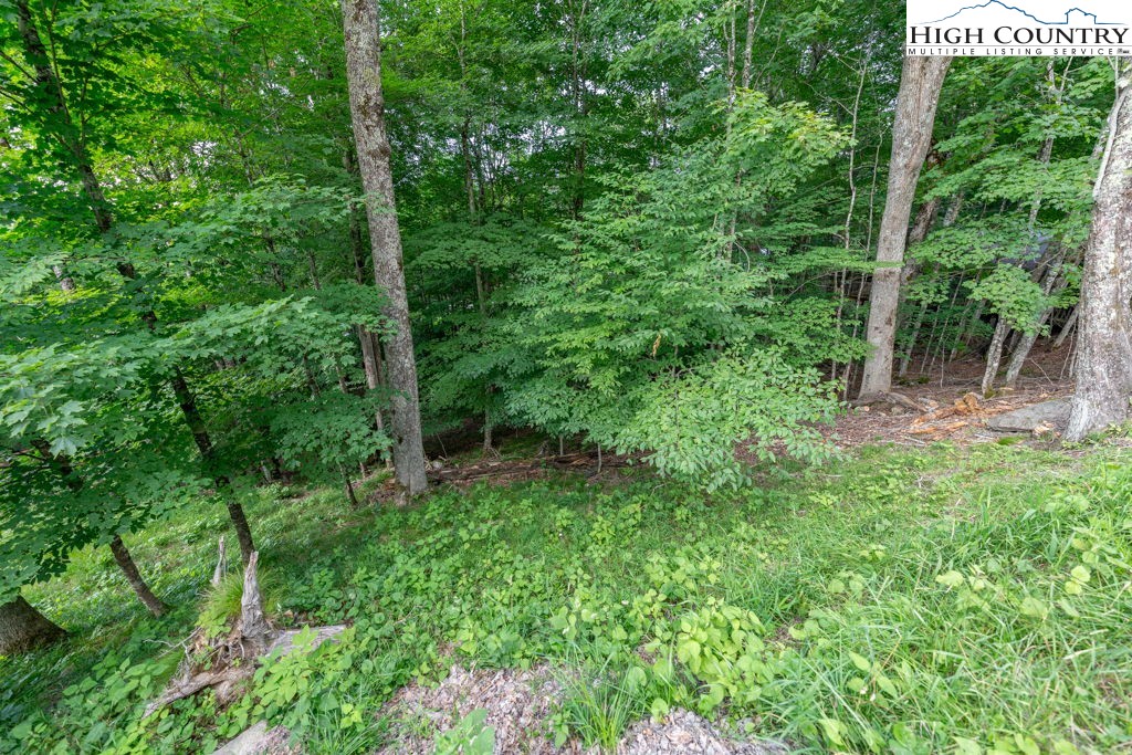 907 Charter Hills Road Beech Mountain, NC 28604 - Photo 13 of 17 a view of a lush green forest