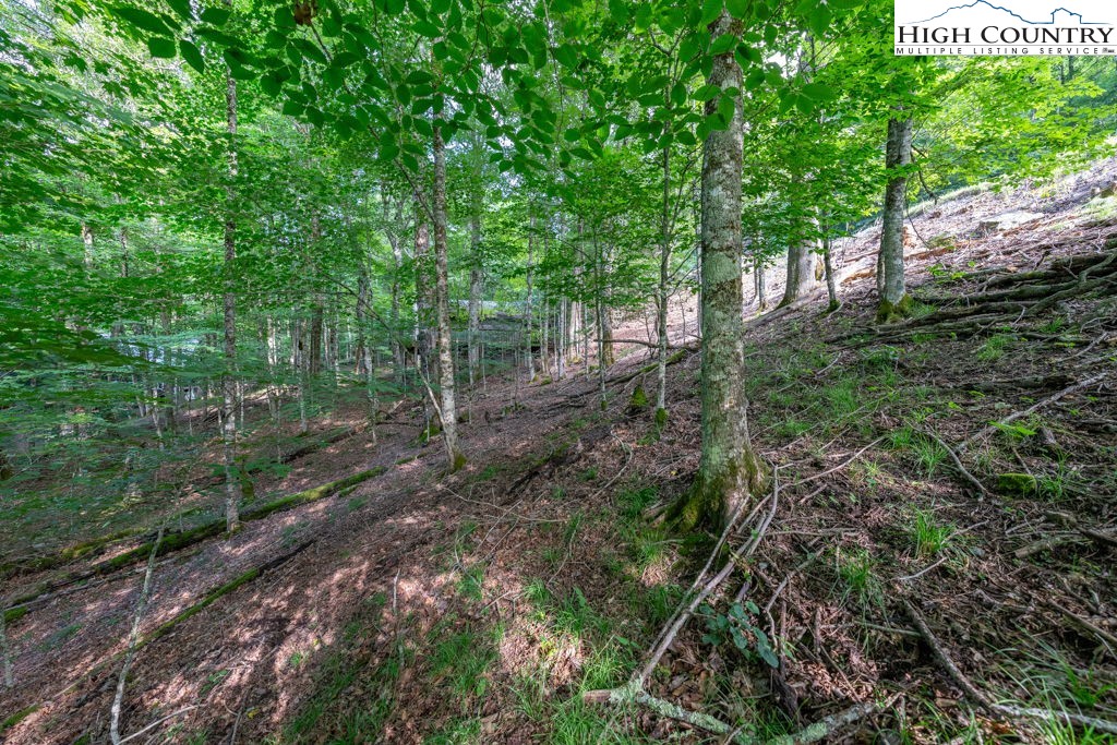 907 Charter Hills Road Beech Mountain, NC 28604 - Photo 14 of 17 a backyard of a house with lots of green space