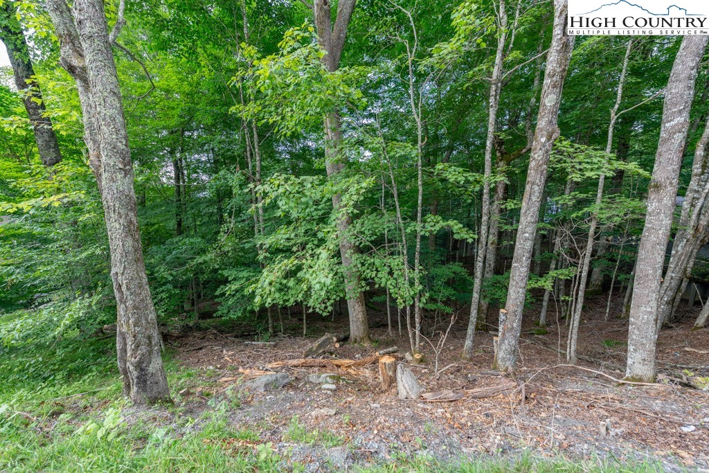 907 Charter Hills Road Beech Mountain, NC 28604 - Photo 2 of 17 a view of an outdoor space and trees all around