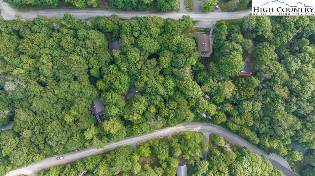 907 Charter Hills Road Beech Mountain, NC 28604 - Photo 4 of 17