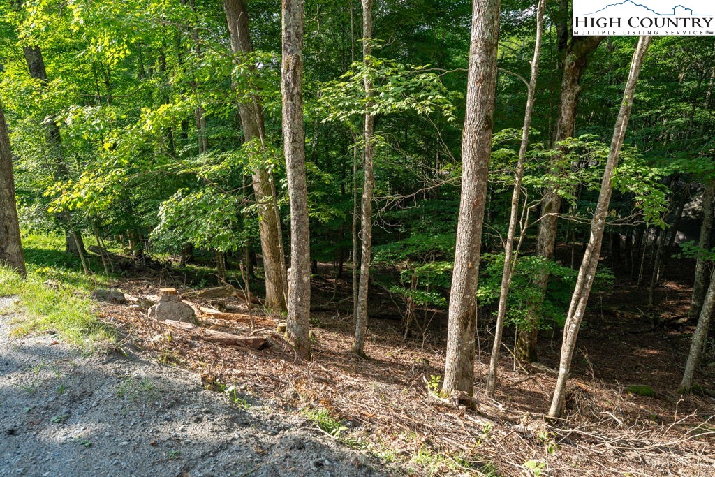 907 Charter Hills Road Beech Mountain, NC 28604 - Photo 7 of 17 a backyard of a house with lots of green space