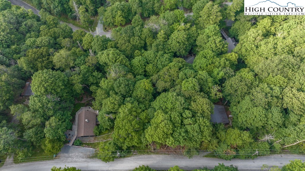 907 Charter Hills Road Beech Mountain, NC 28604 - Photo 8 of 17 an aerial view of a house with a yard
