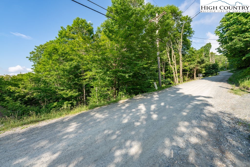 907 Charter Hills Road Beech Mountain, NC 28604 - Photo 9 of 17 a view of a plants with a tree