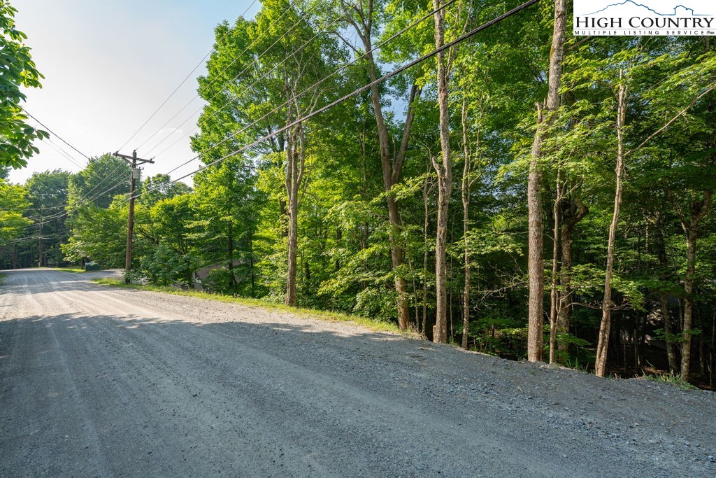 907 Charter Hills Road Beech Mountain, NC 28604 - Photo 10 of 17 a view of a field with plants and trees