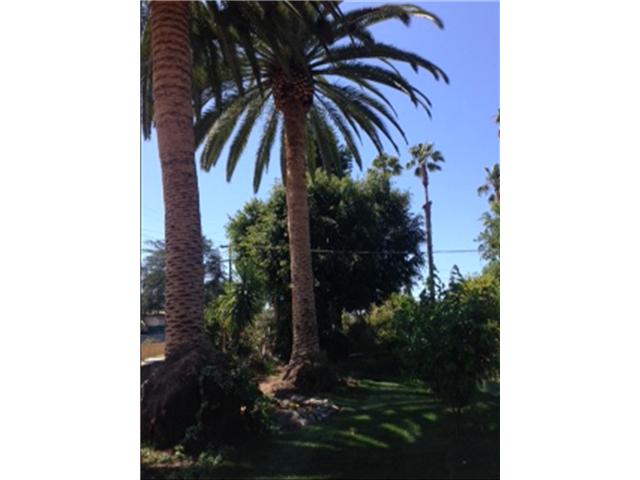 611 West Beech Street Fallbrook, CA 92028 - Photo 3 of 19 Gallery Image 3