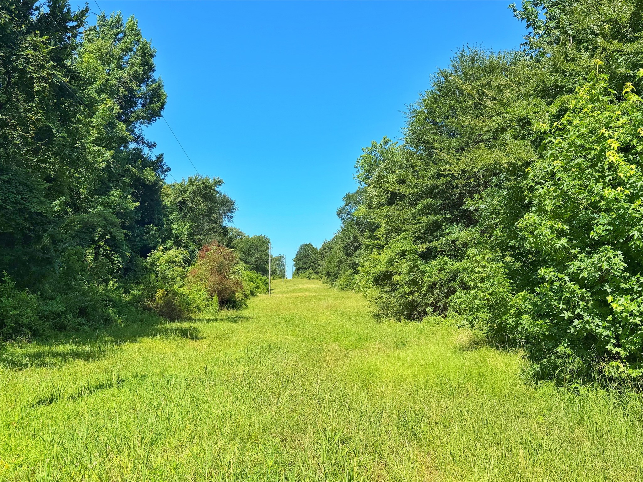 Tbd Tbd I-45 West Feeder Road Centerville, TX 75833 - Photo 4 of 15