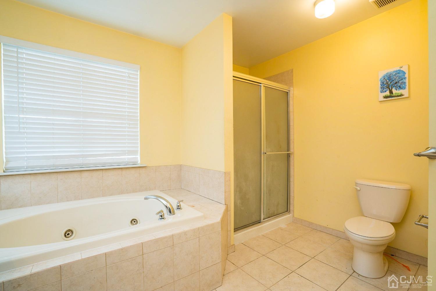 8 Maxwell Road Monroe Township, NJ 08831 - Photo 17 of 40 a bathroom with a tub and a toilet