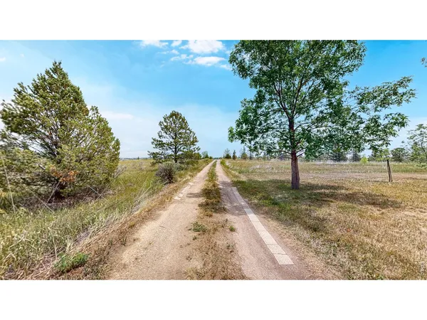 a black and white photo of a yard