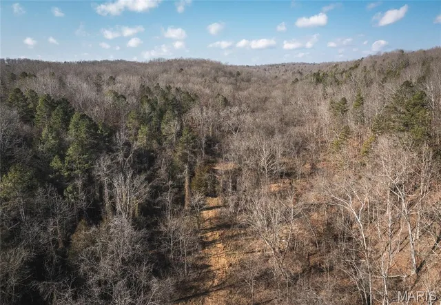 $500,000 | 0 County Road 404, Ellington, MO 63638