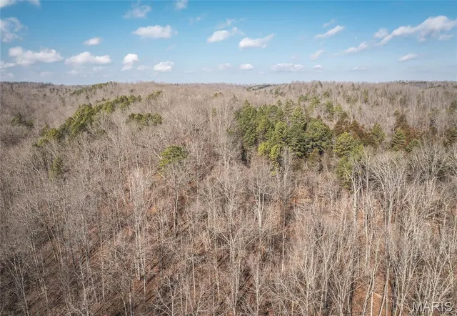 $500,000 | 0 County Road 404, Ellington, MO 63638