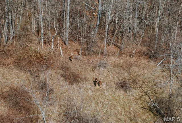 $500,000 | 0 County Road 404, Ellington, MO 63638