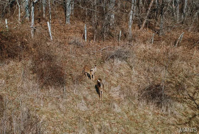 $500,000 | 0 County Road 404, Ellington, MO 63638