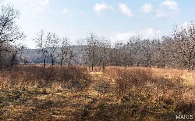 $500,000 | 0 County Road 404, Ellington, MO 63638