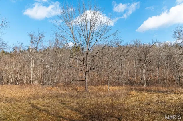 $500,000 | 0 County Road 404, Ellington, MO 63638