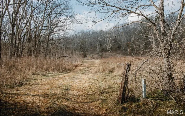 $500,000 | 0 County Road 404, Ellington, MO 63638