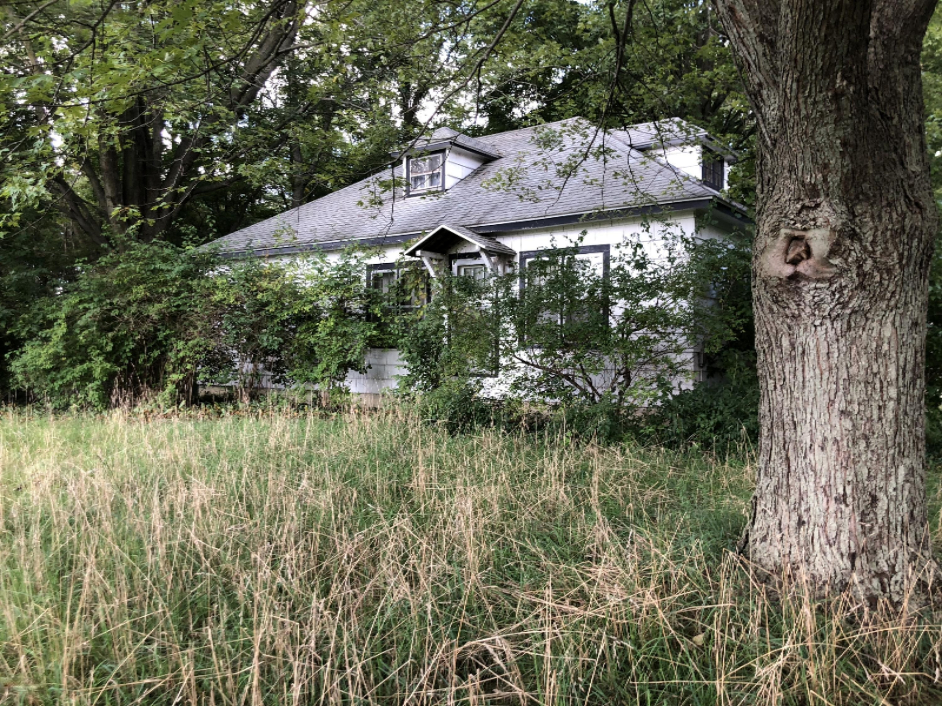 4550 West State Road Middleville, MI 49333 - Photo 1 of 1 4550 W State Rd