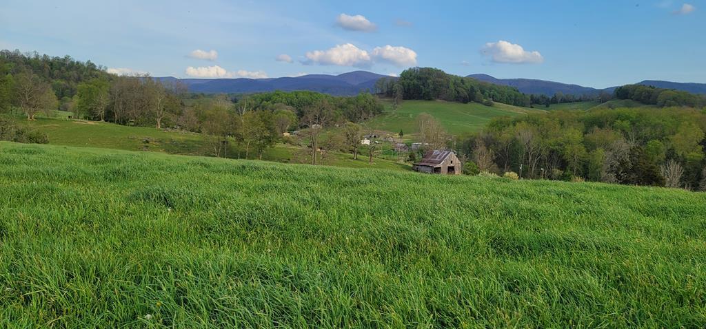 Tbd Red Stone Road Chilhowie, VA 24319 - Photo 1 of 8 78071_0