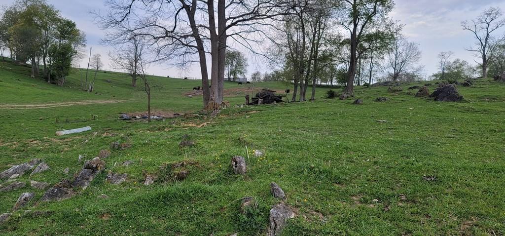 Tbd Red Stone Road Chilhowie, VA 24319 - Photo 2 of 8 78071_1