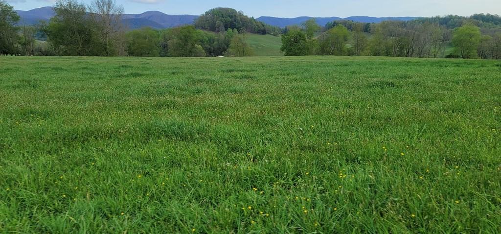 Tbd Red Stone Road Chilhowie, VA 24319 - Photo 3 of 8 78071_4