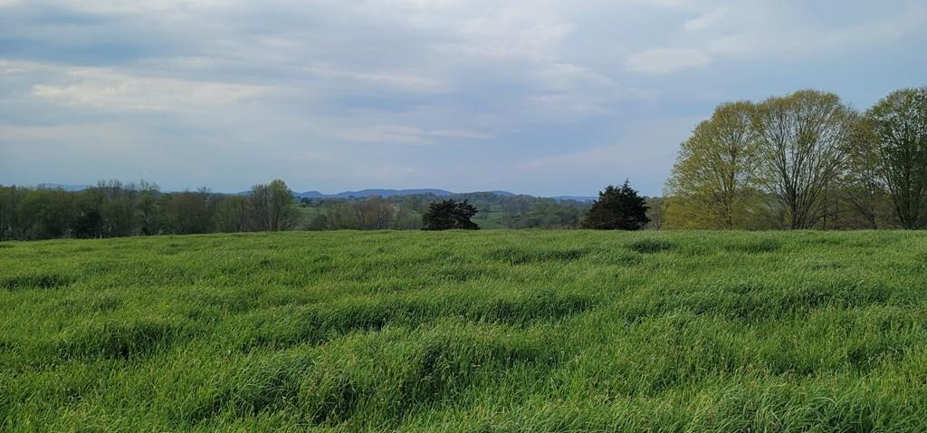 Tbd Red Stone Road Chilhowie, VA 24319 - Photo 4 of 8 78071_5