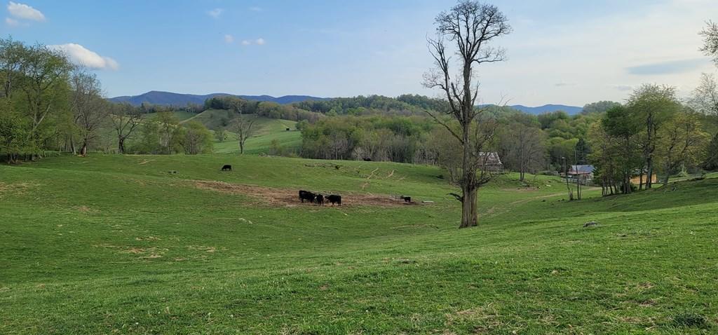 Tbd Red Stone Road Chilhowie, VA 24319 - Photo 8 of 8 VIew