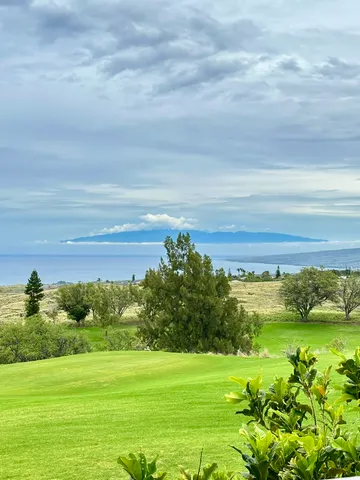 a view of an ocean and a yard