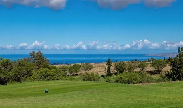 a view of a golf course with a lake