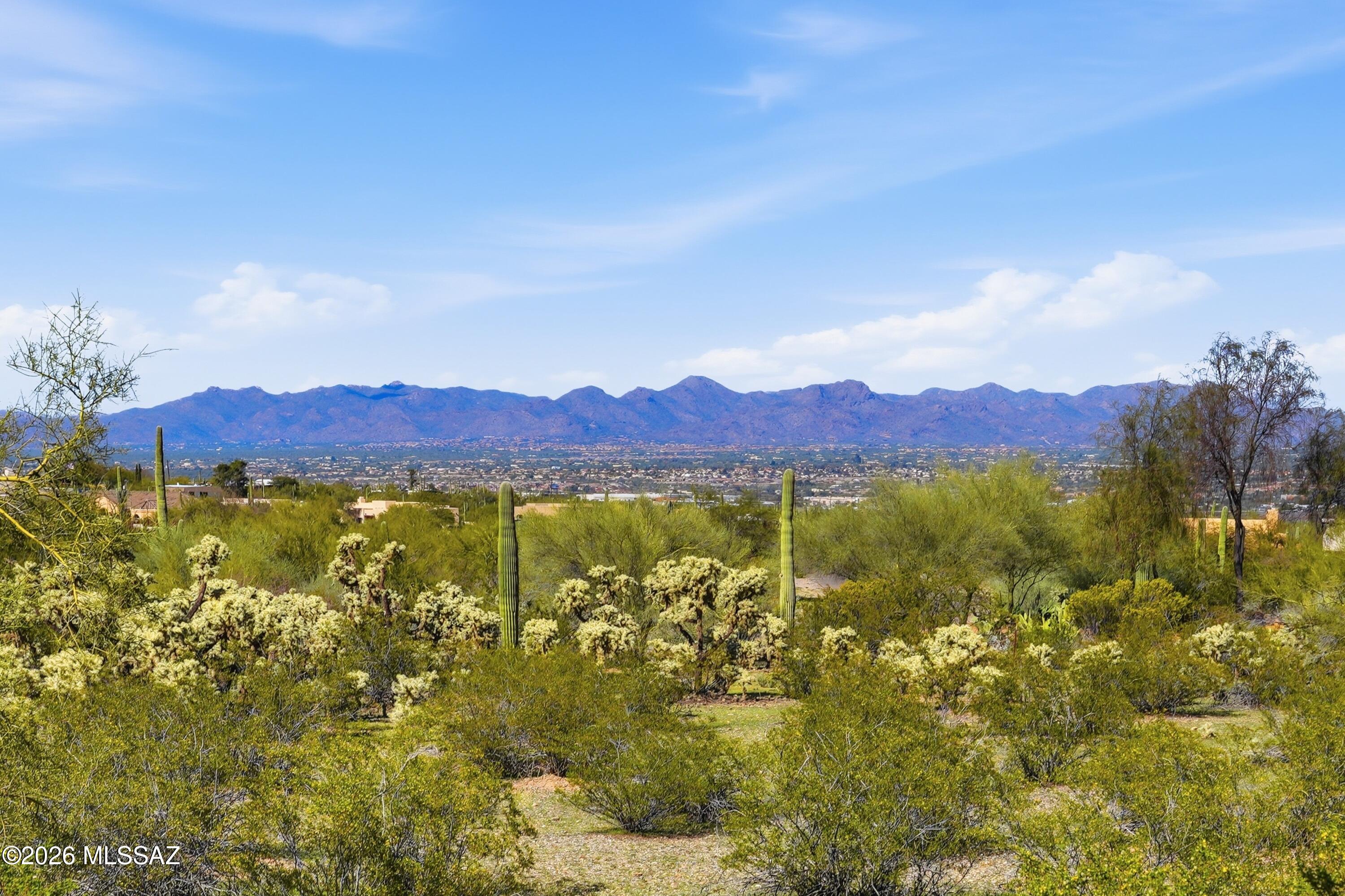 6060 North Abington Road Tucson, AZ 85743 - Photo 16 of 47 3+ Acres and mountain views