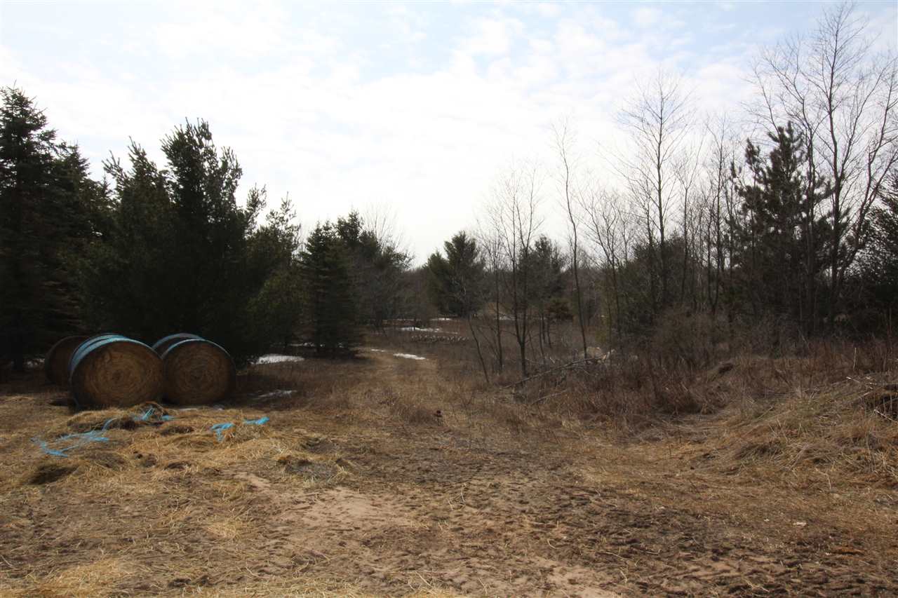 4241 West Geers Road McBain, MI 49657 - Photo 42 of 43 1858984-41.JPG