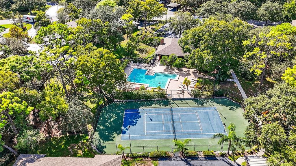 2003 Lennox Road East, Unit 2003 Palm Harbor, FL 34683 - Photo 37 of 40