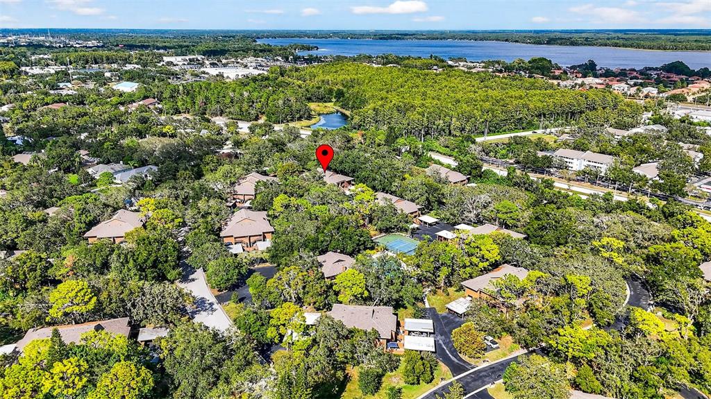 2003 Lennox Road East, Unit 2003 Palm Harbor, FL 34683 - Photo 39 of 40