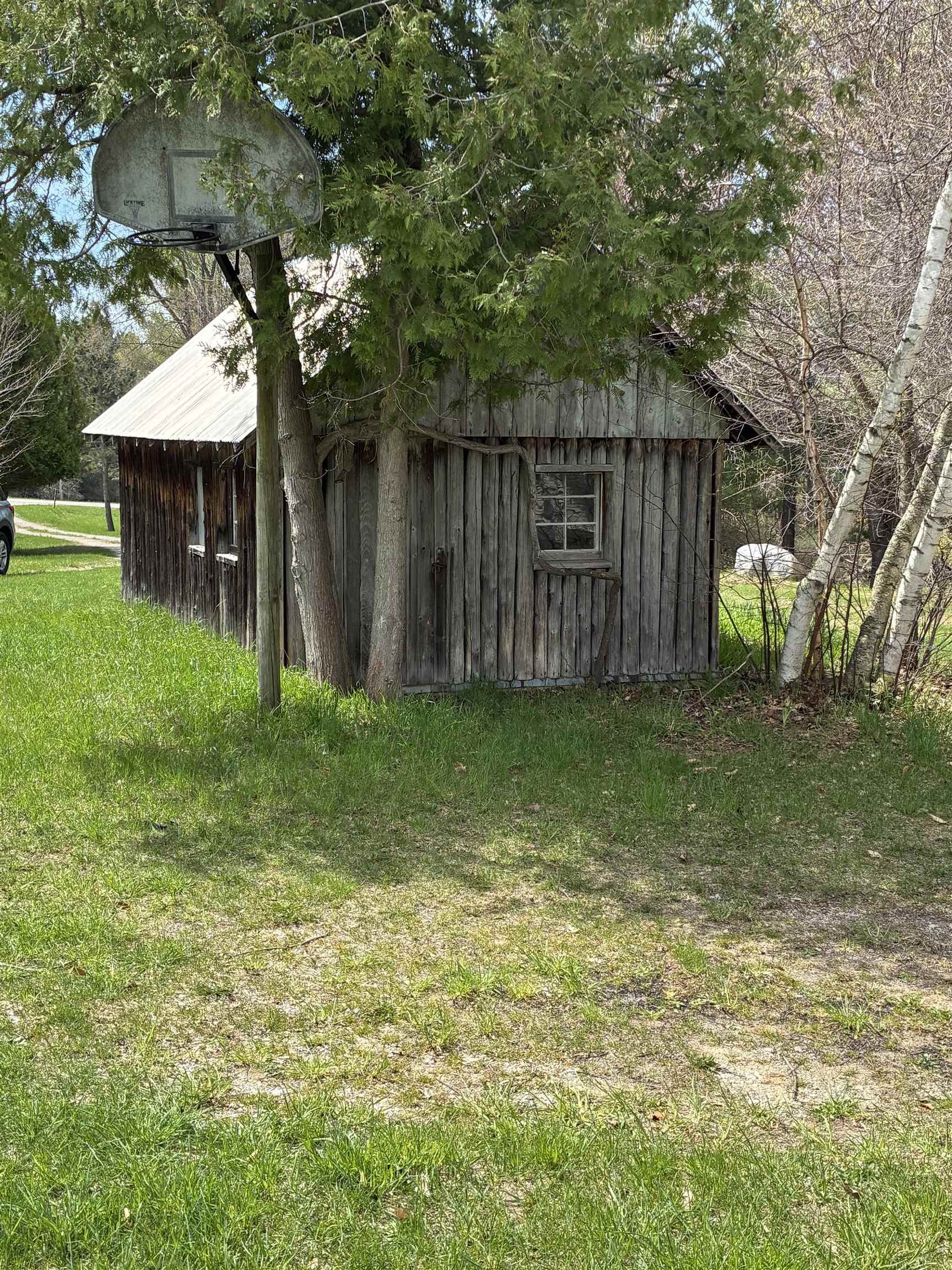 12850 Miller Road Rapid City, MI 49676 - Photo 9 of 41