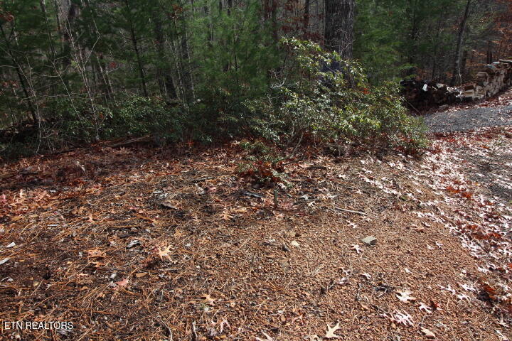 119 Taylors Rdg Road Walland, TN 37886 - Photo 9 of 27 SaddleRidge 003