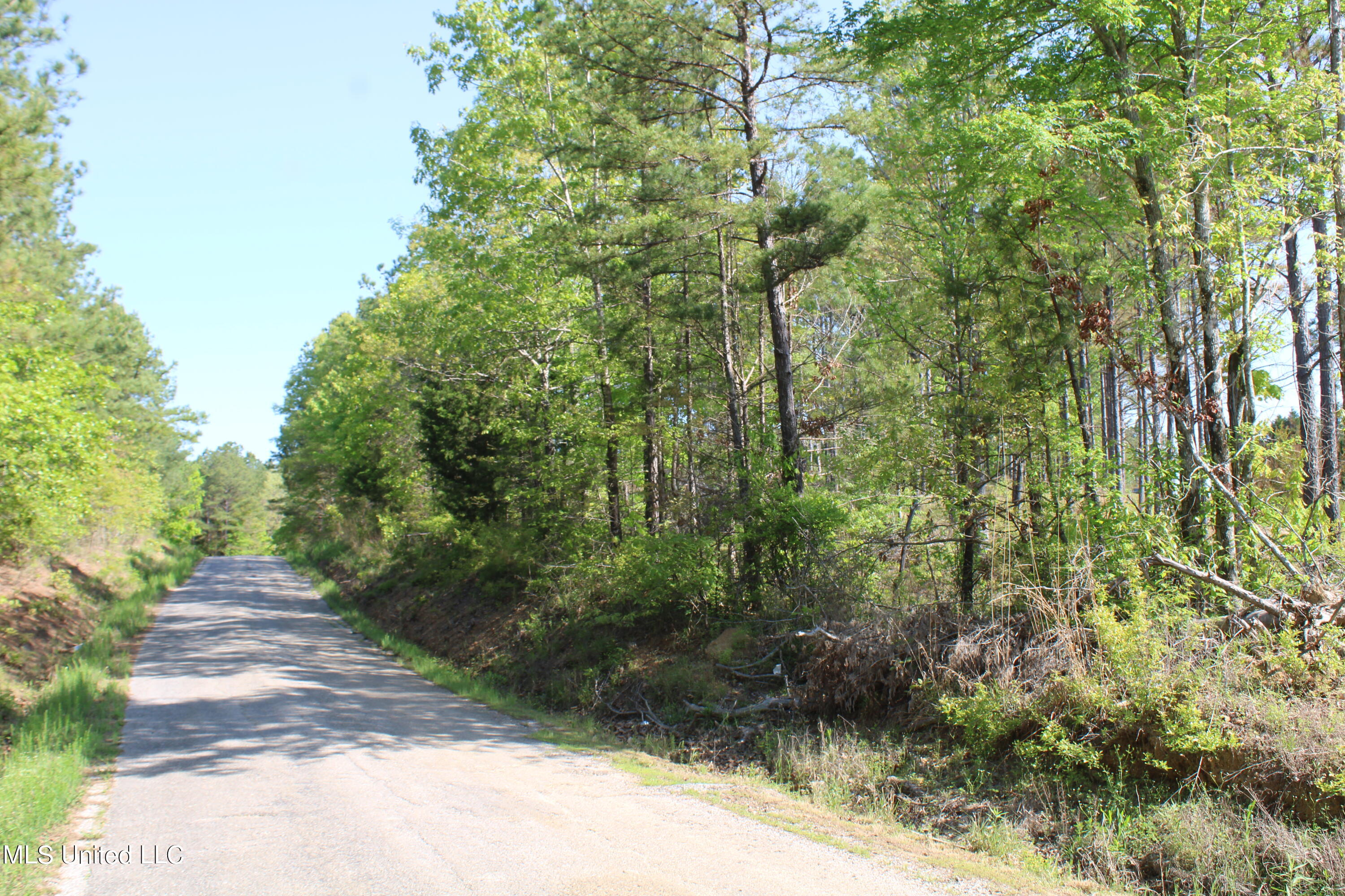 361 Brents Road Potts Camp, MS 38659 - Photo 5 of 23 IMG_3734