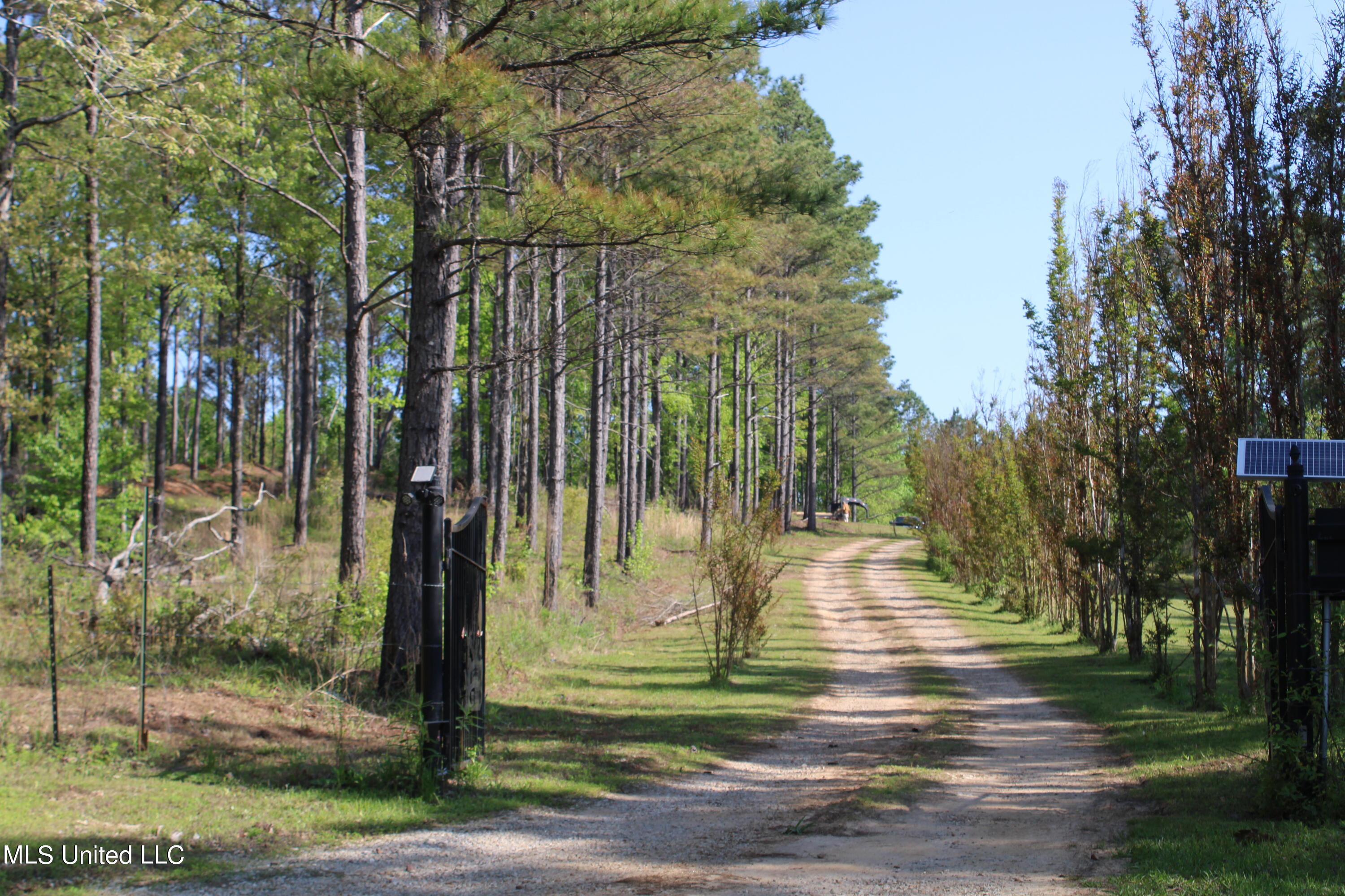 361 Brents Road Potts Camp, MS 38659 - Photo 6 of 23 IMG_3733