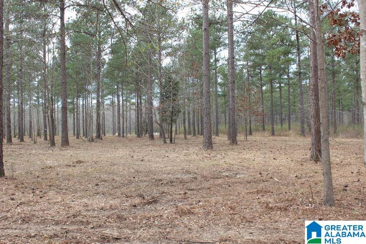 Liberty Shores Boulevard Vincent, AL 35178 - Photo 5 of 11