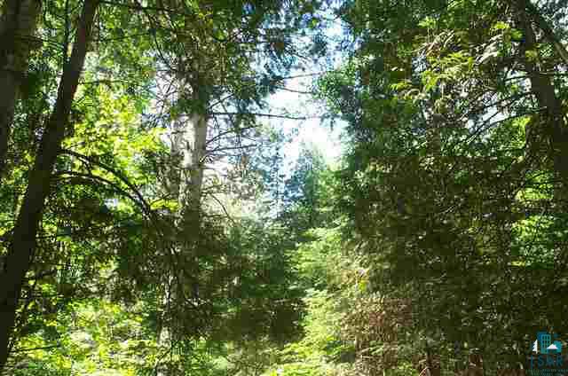 0 Lindblad Road Ashland, WI 54806 - Photo 1 of 4