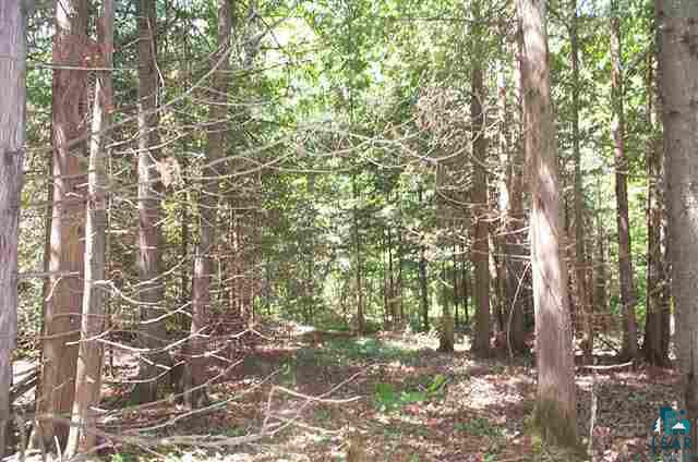 0 Lindblad Road Ashland, WI 54806 - Photo 2 of 4