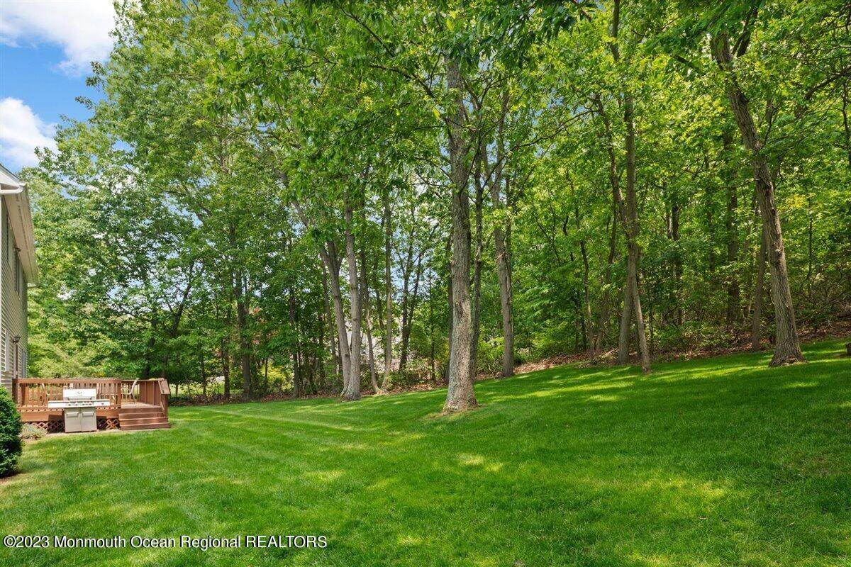 120 Bobbi's Terrace New Egypt, NJ 08533 - Photo 49 of 49 52-SR_09740