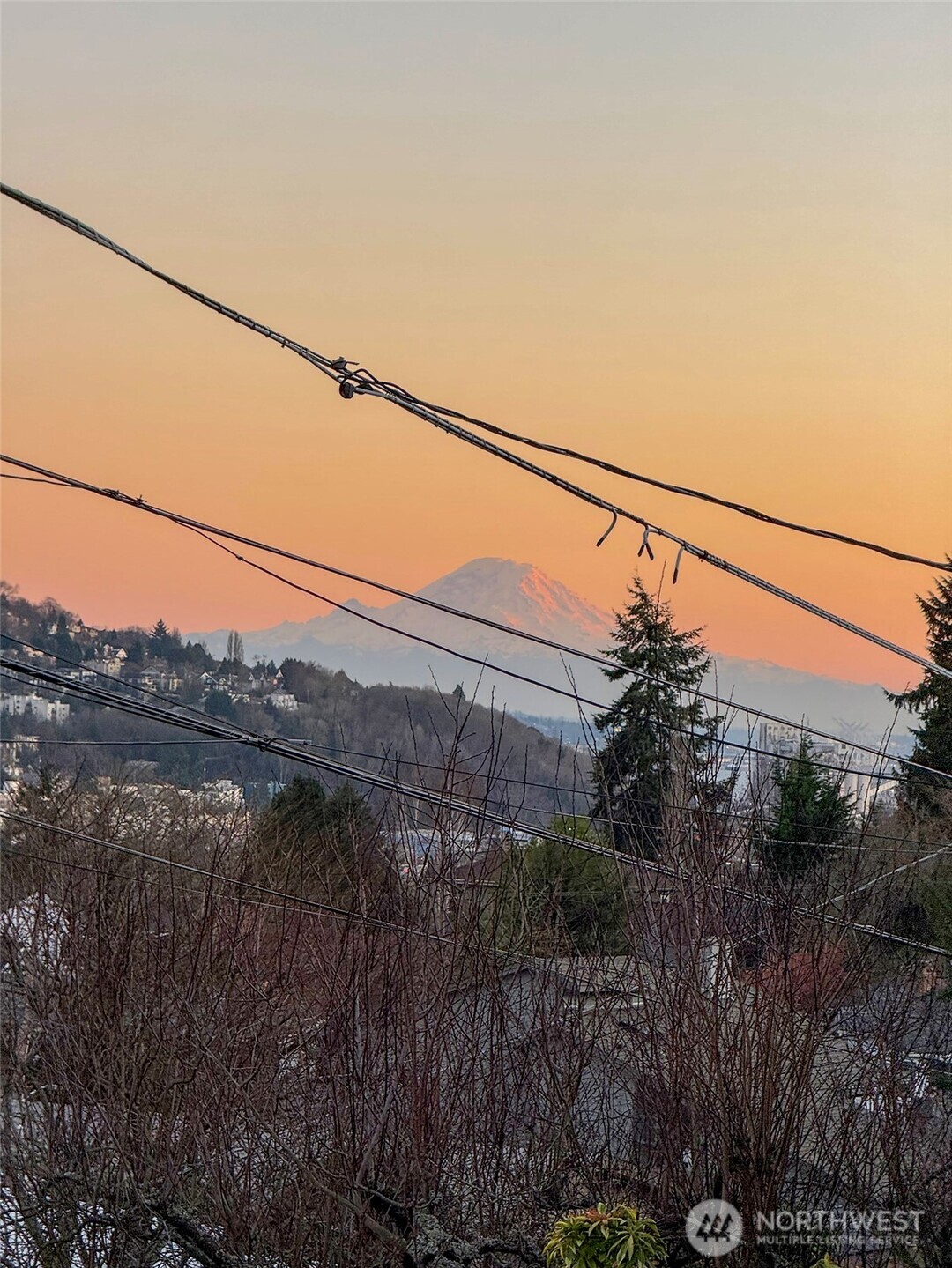 3439 24th Avenue West Seattle, WA 98199 - Photo 13 of 37