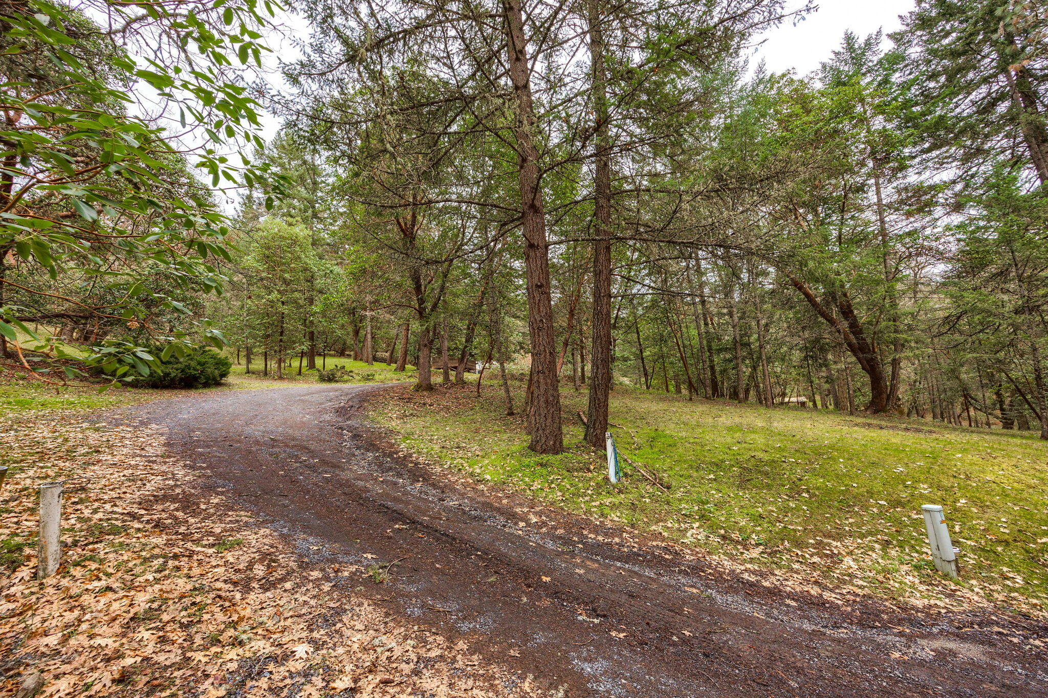 2109 Knowles Road Medford, OR 97501 - Photo 8 of 67 7-web-or-mls-ApxKR (7)