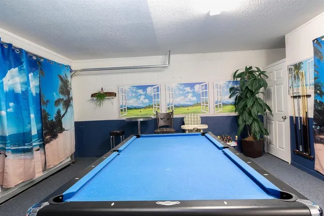 a view of backyard with potted plants and a large tree