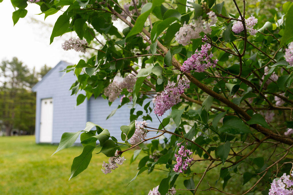 347 Cranberry Meadow Road Berwick, ME 03901 - Photo 50 of 62 347 Cranberry Meadow, Berwick